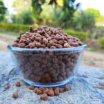 dried-chickpeas-vs-canned-chickpeas