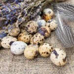 quail-eggs-vs-chicken-eggs